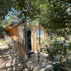  Chalet Dans Les Arbres